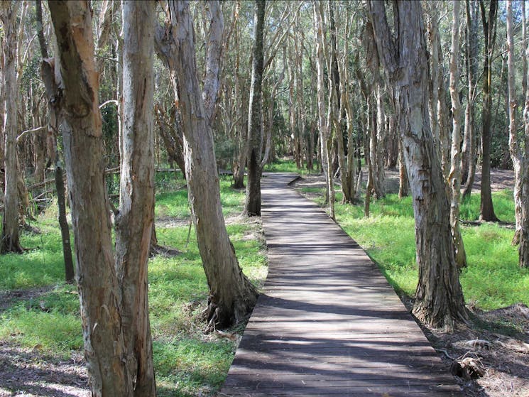 Kooloonbung Creek