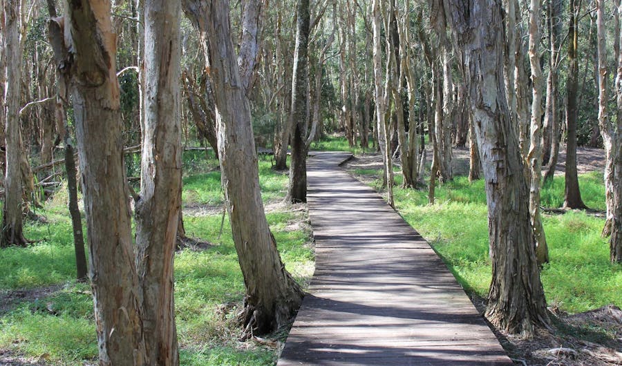 Kooloonbung Creek Nature Reserve and Historic Cemetery Kooloonbung Creek Nature Reserve and Historic Cemetery