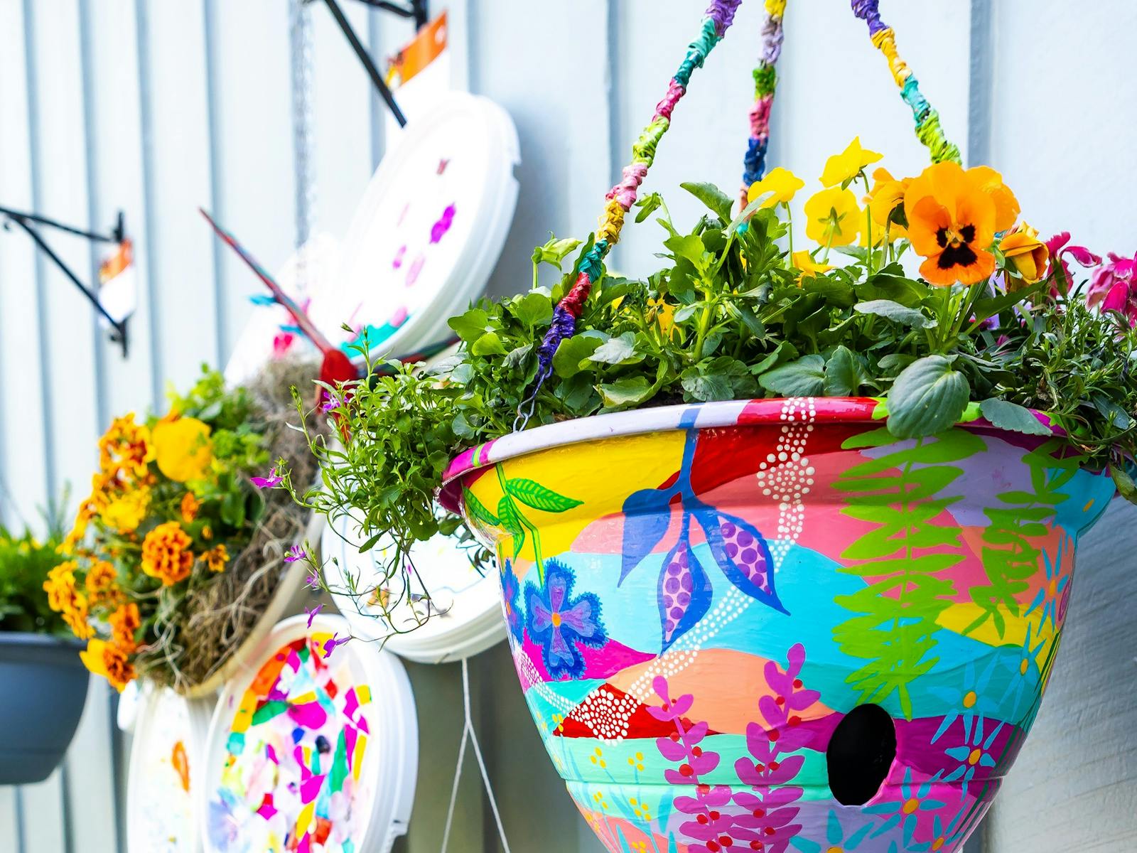 Hanging pot plant with colourfully decorated pot that evokes floral and Indigenous design. Hanging pot plant with colourfully decorated pot that evokes floral and Indigenous design.