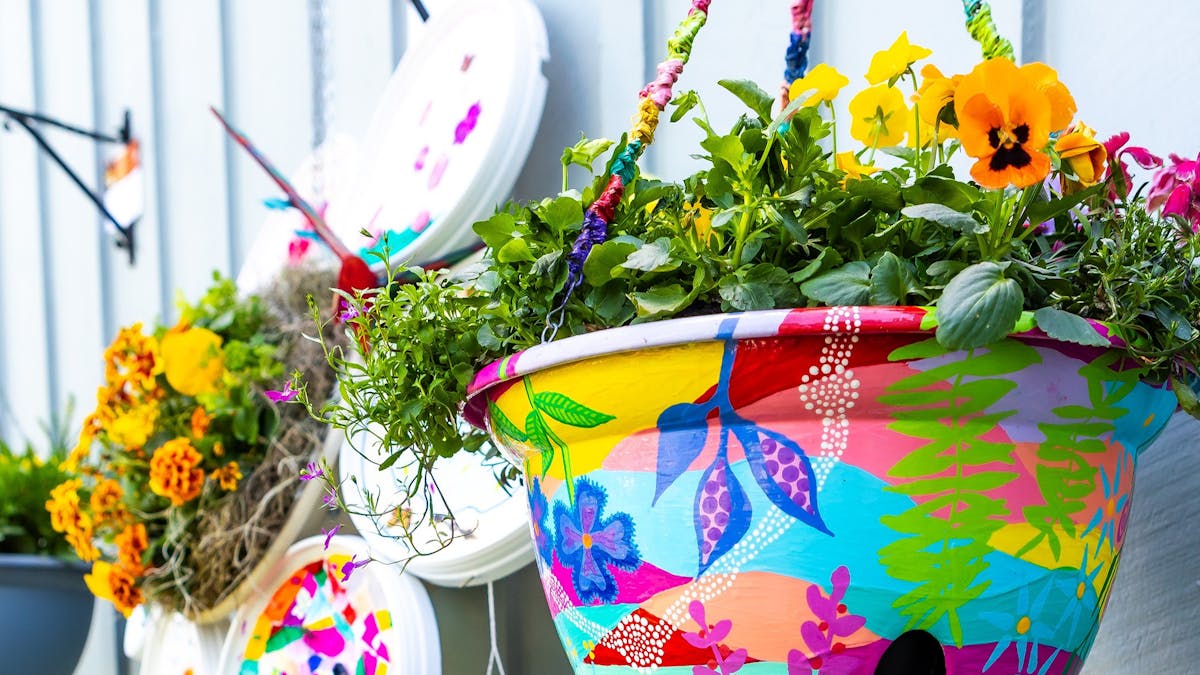 Hanging pot plant with colourfully decorated pot that evokes floral and Indigenous design.