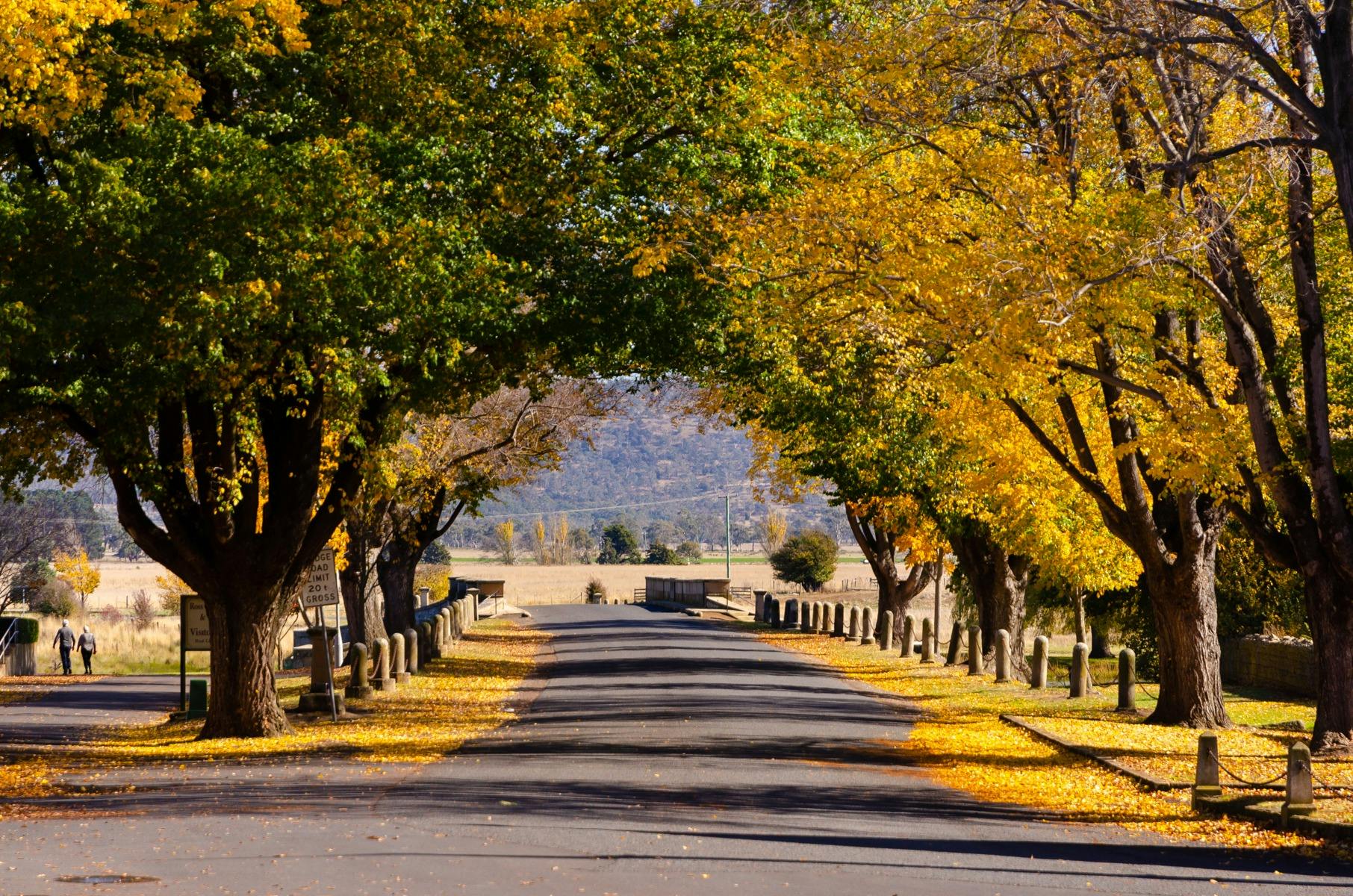 Experience the colonial history of Tasmania's Midlands on your Lap of Tasmania road trip