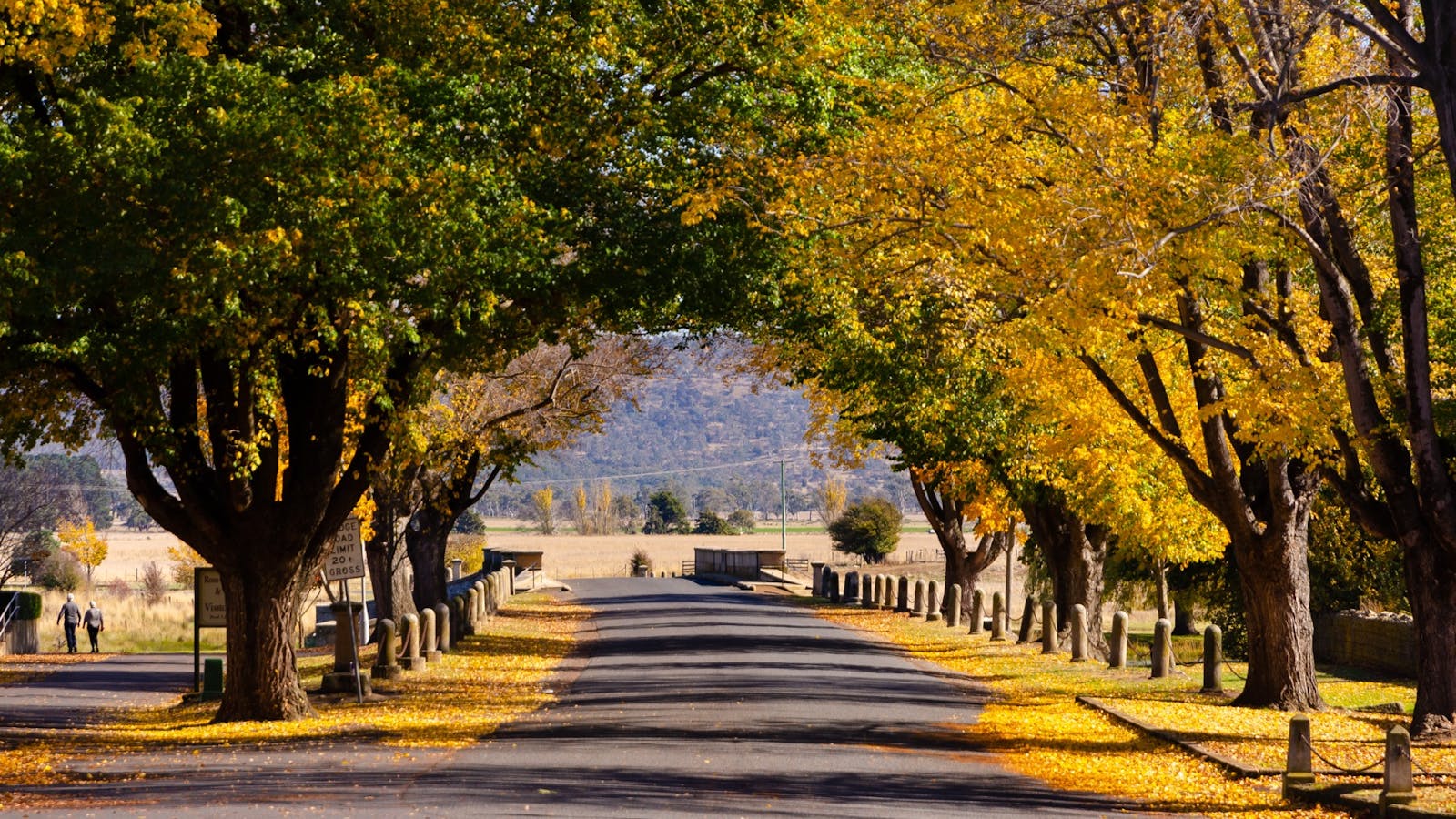 Experience the colonial history of Tasmania's Midlands on your Lap of Tasmania road trip