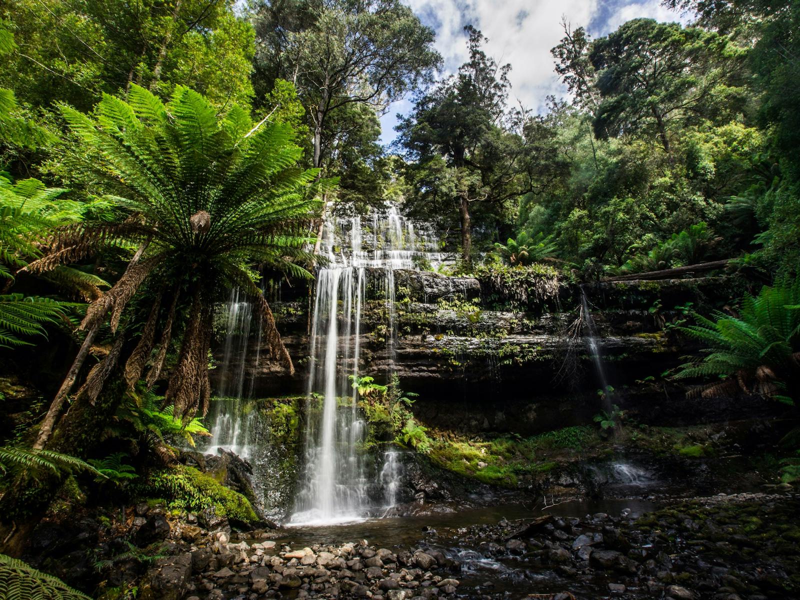 Falls