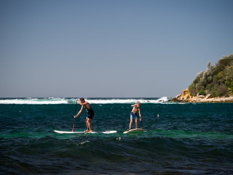 Stand up Paddleboard