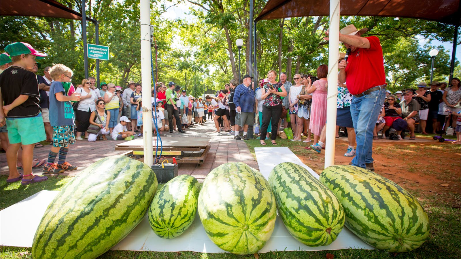 Chinchilla Melon Festival
