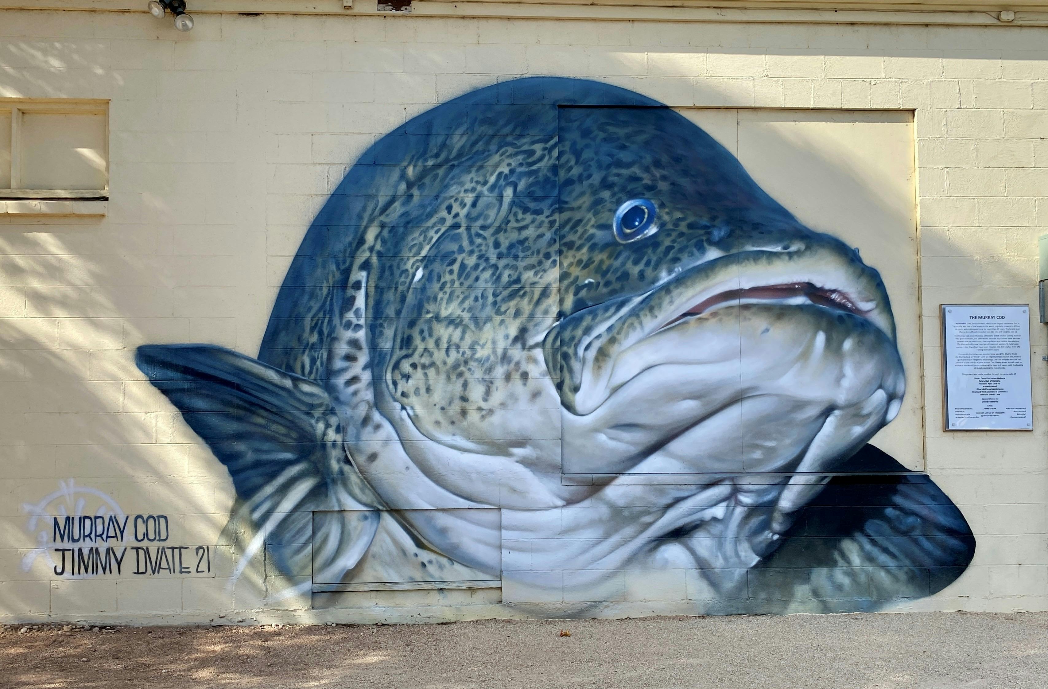 Waikerie Street Art Tour