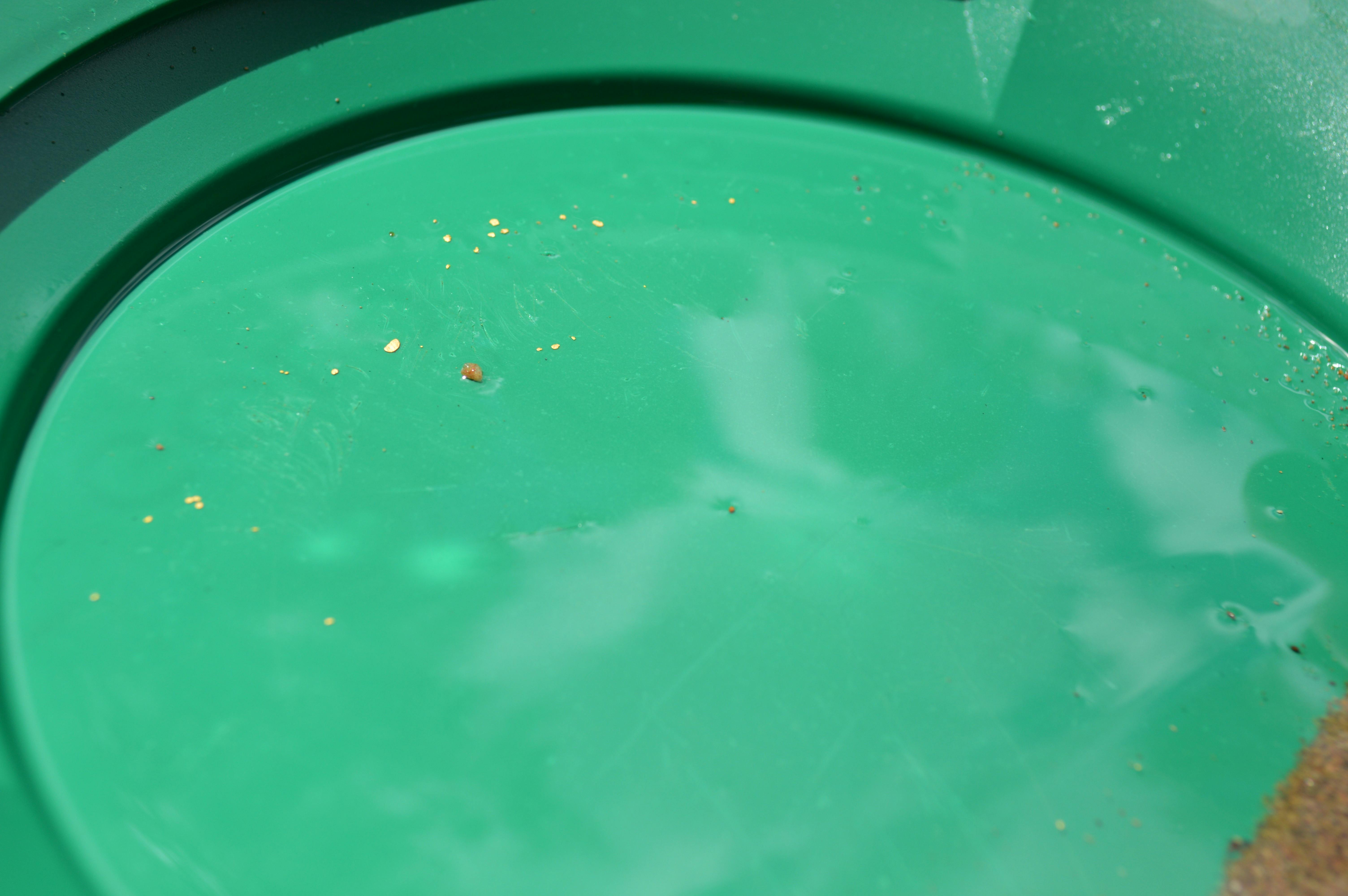 Fossicking, Tambaroora, Hill End, gold panning, Bathurst