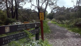 Wilson Inlet Heritage Walk Trail