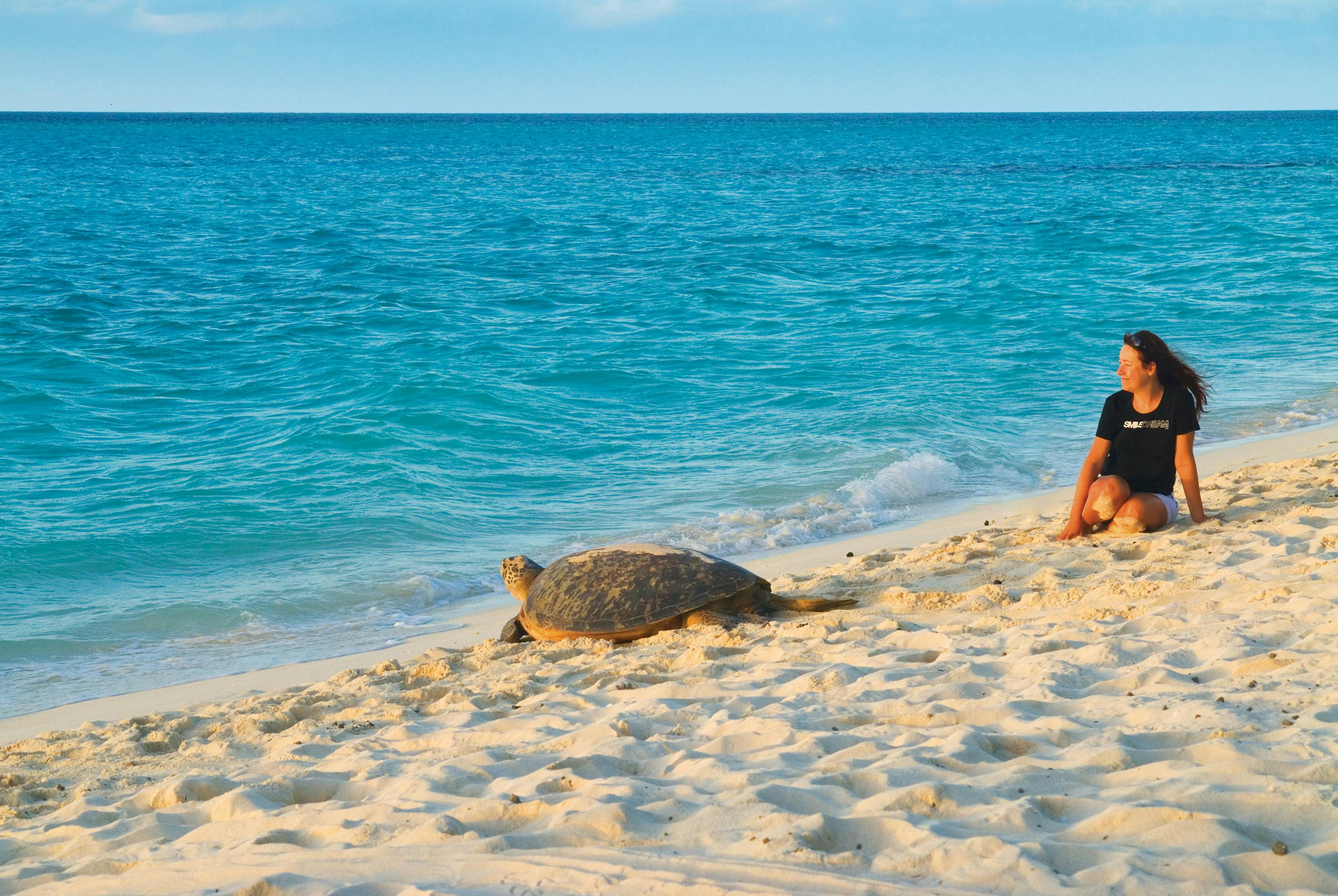 sea turtle and woman