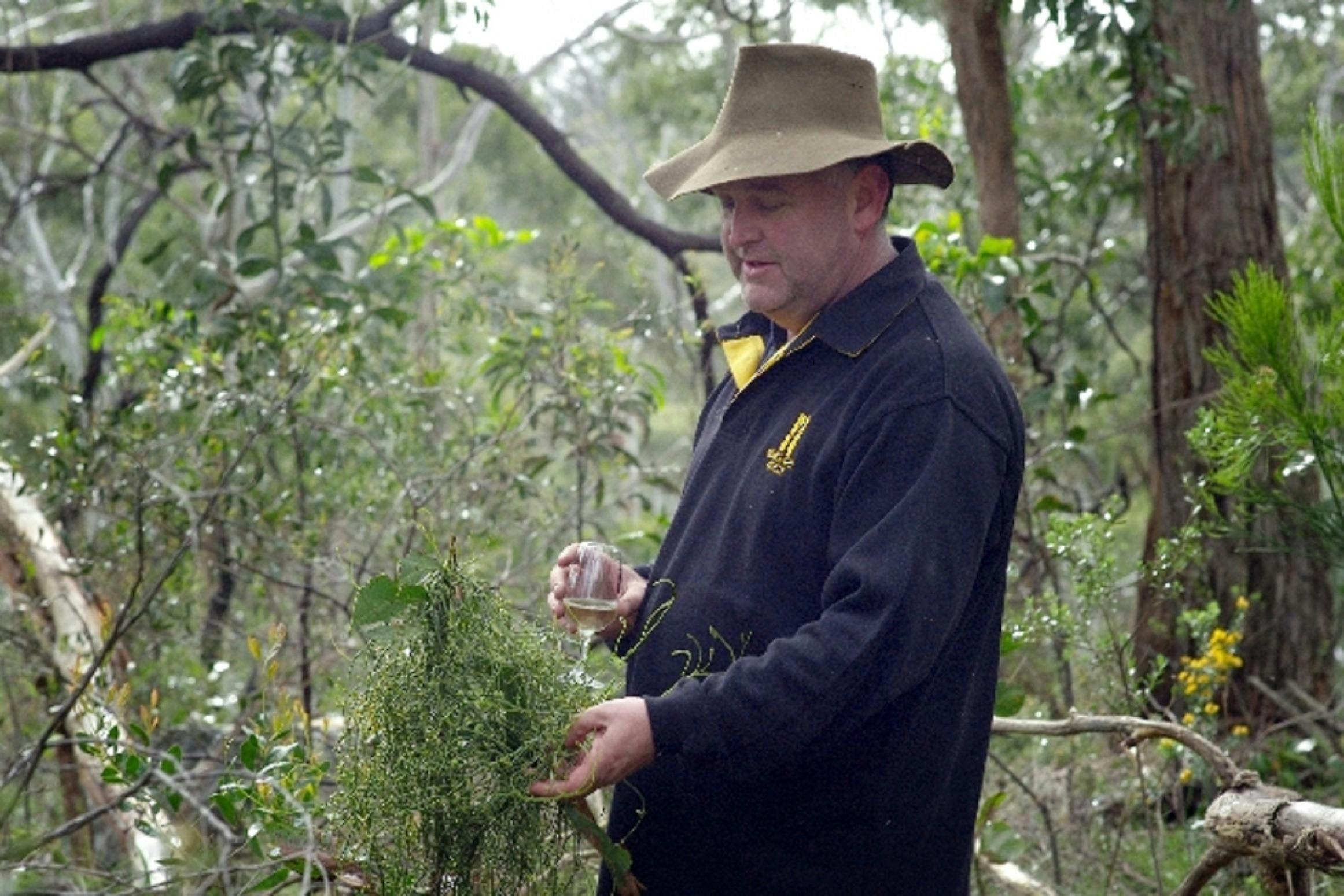 Wine and Wildflower Walk at Sinclairs Gully