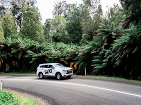 car hire Mt Gambier airport