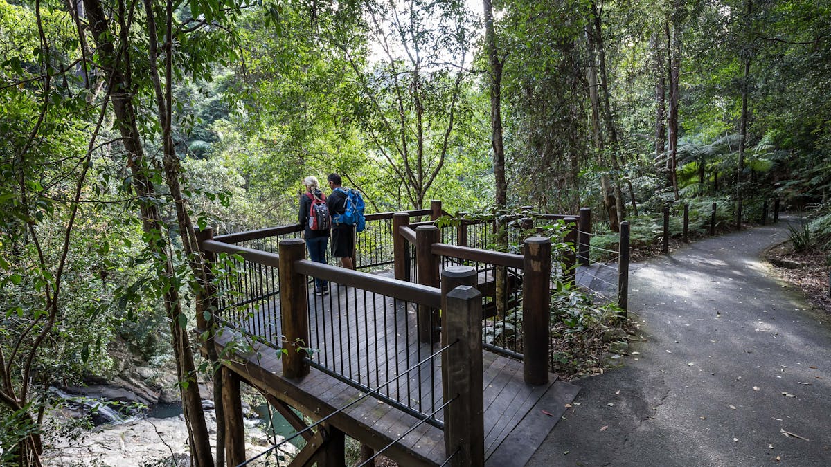 Two people standing at a lookout looking down at a cascading creek.