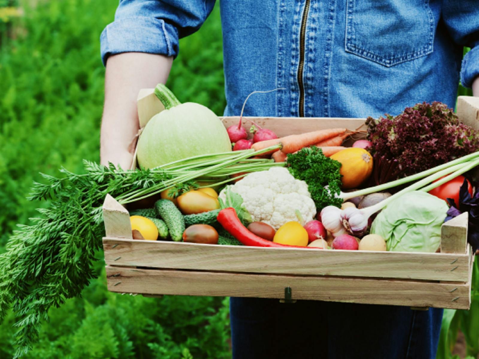 Image for Harvest Cooking Class