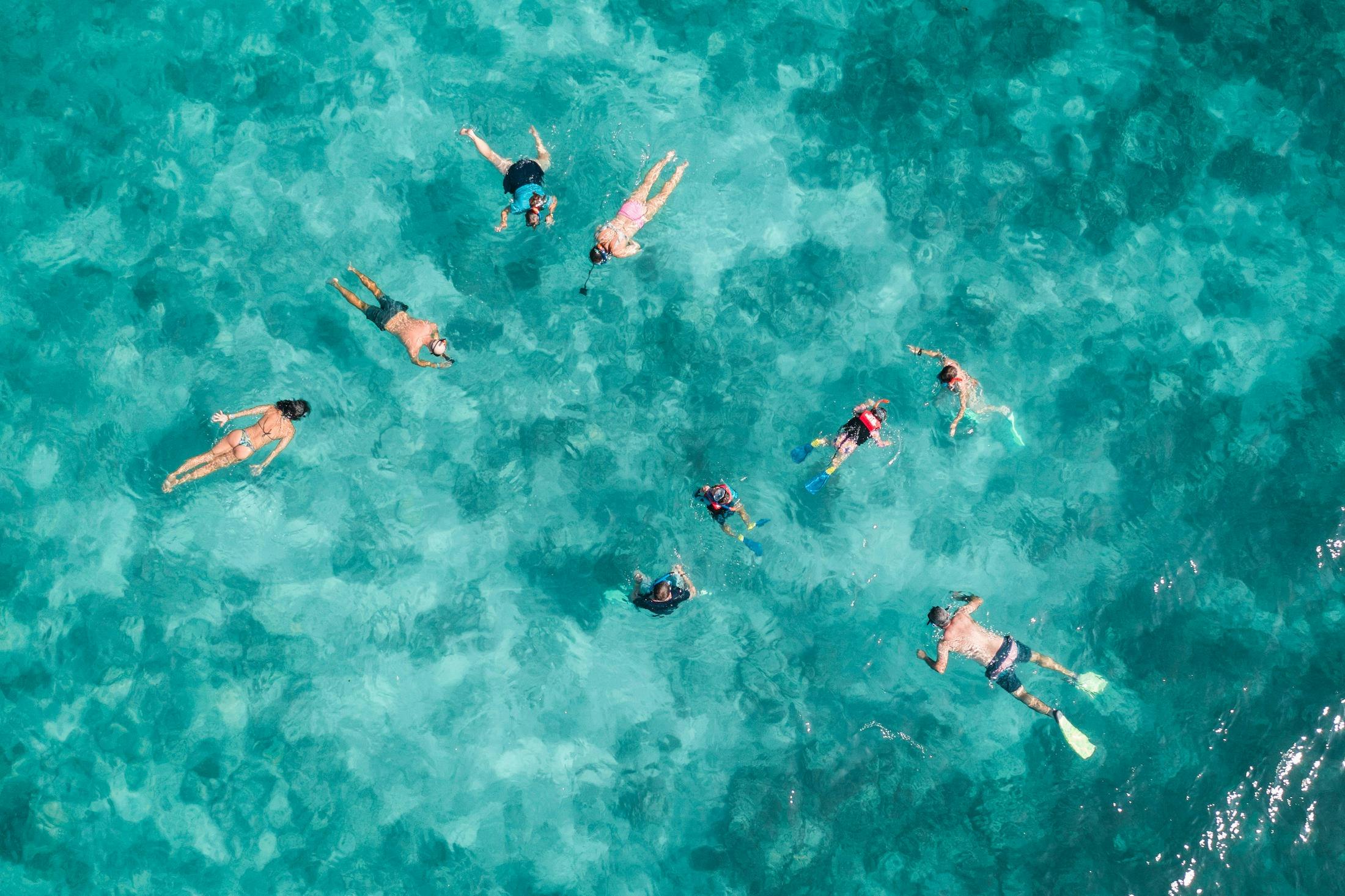 Intro Snorkel Adventure + Snorkel Safari
