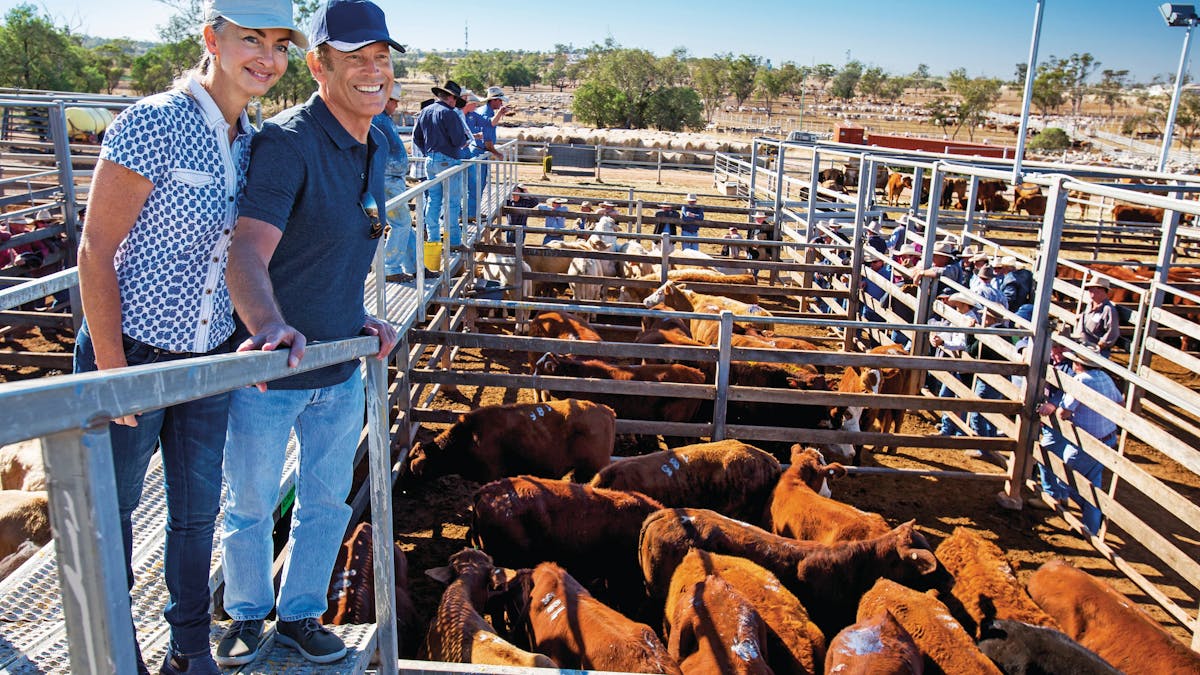 Roma Sale Yards