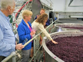 Visiting the winery behind the scenes and witnessing the grapes being fermented