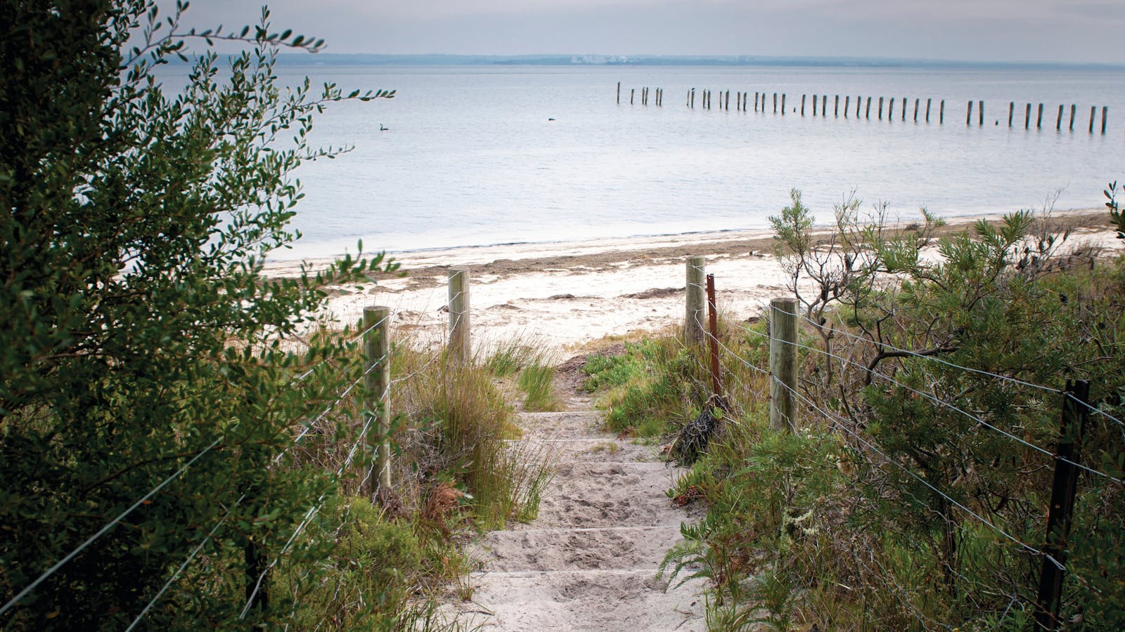 French Island National Park
