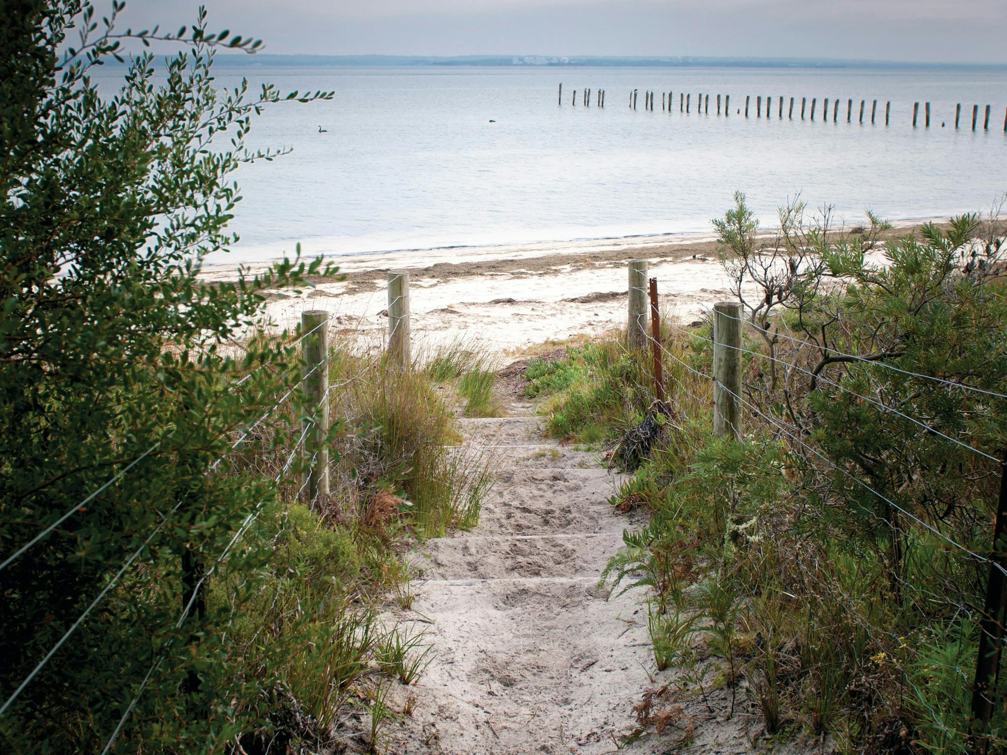 French Island National Park