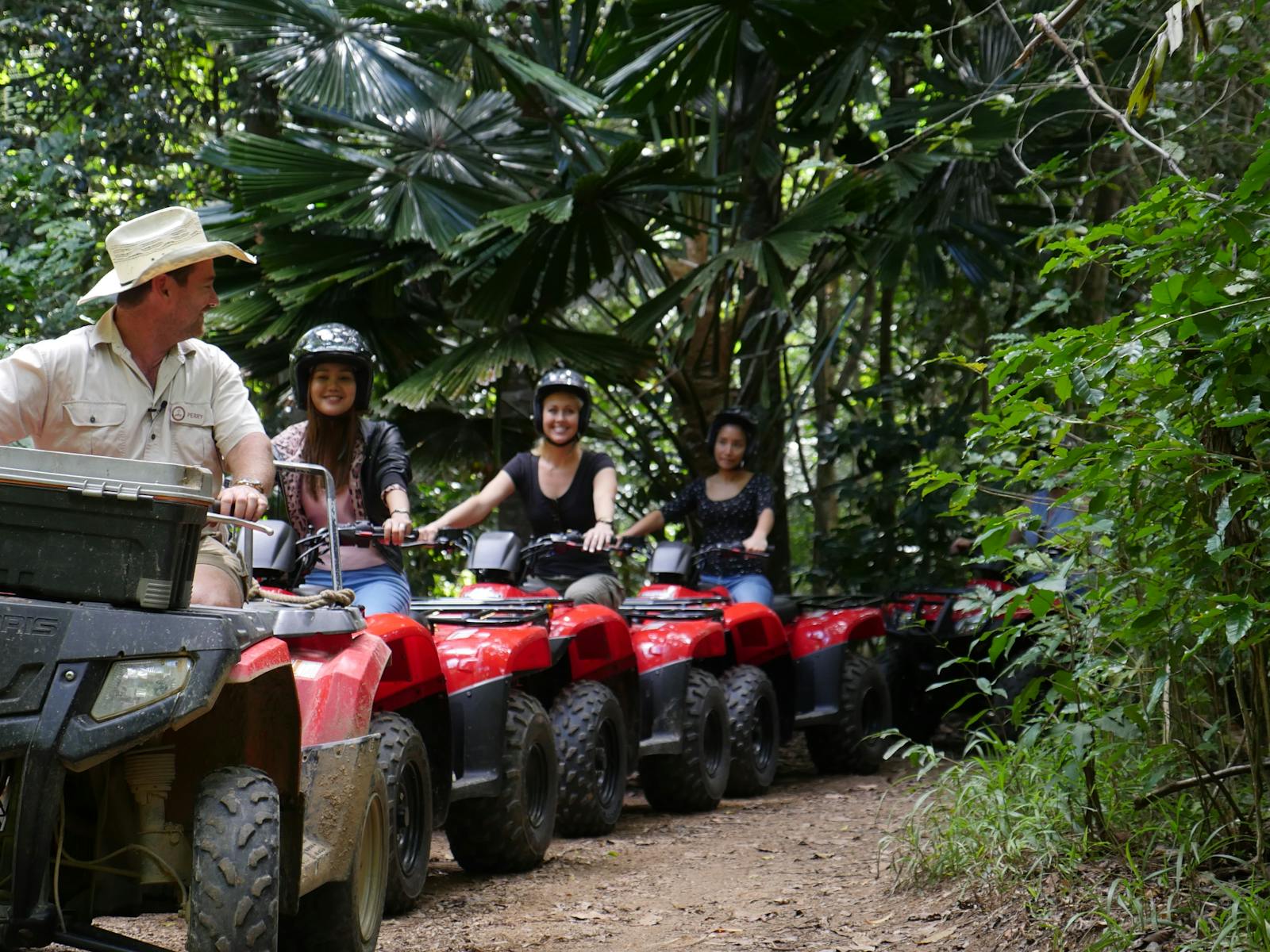 Explore ancient tropical rainforest