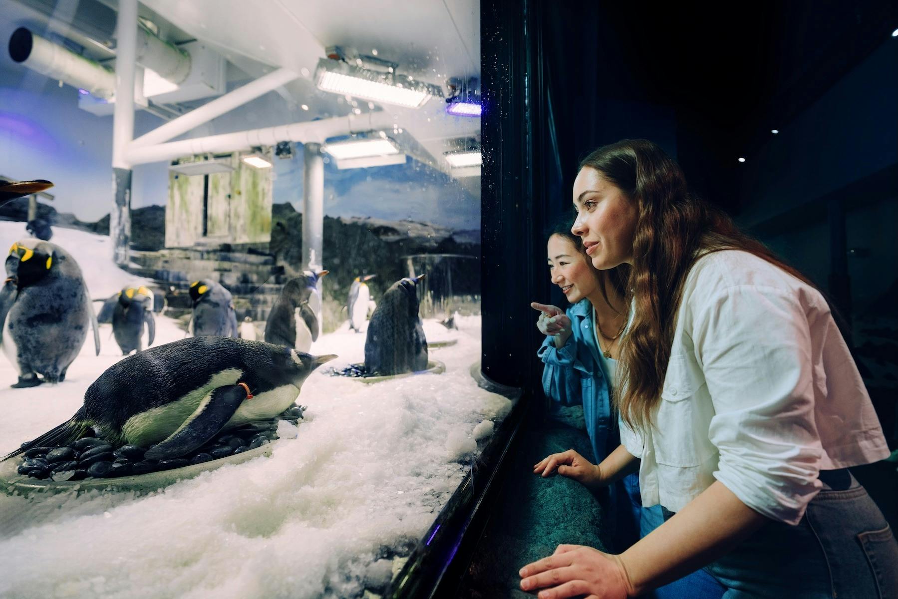 SEA LIFE Sydney Aquarium