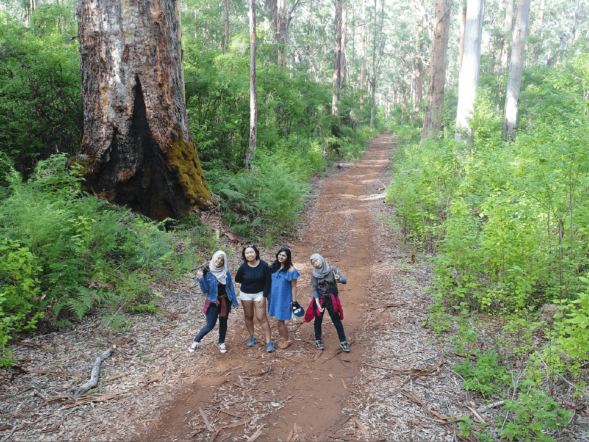 Pemberton Discovery Tours, Pemberton, Western Australia