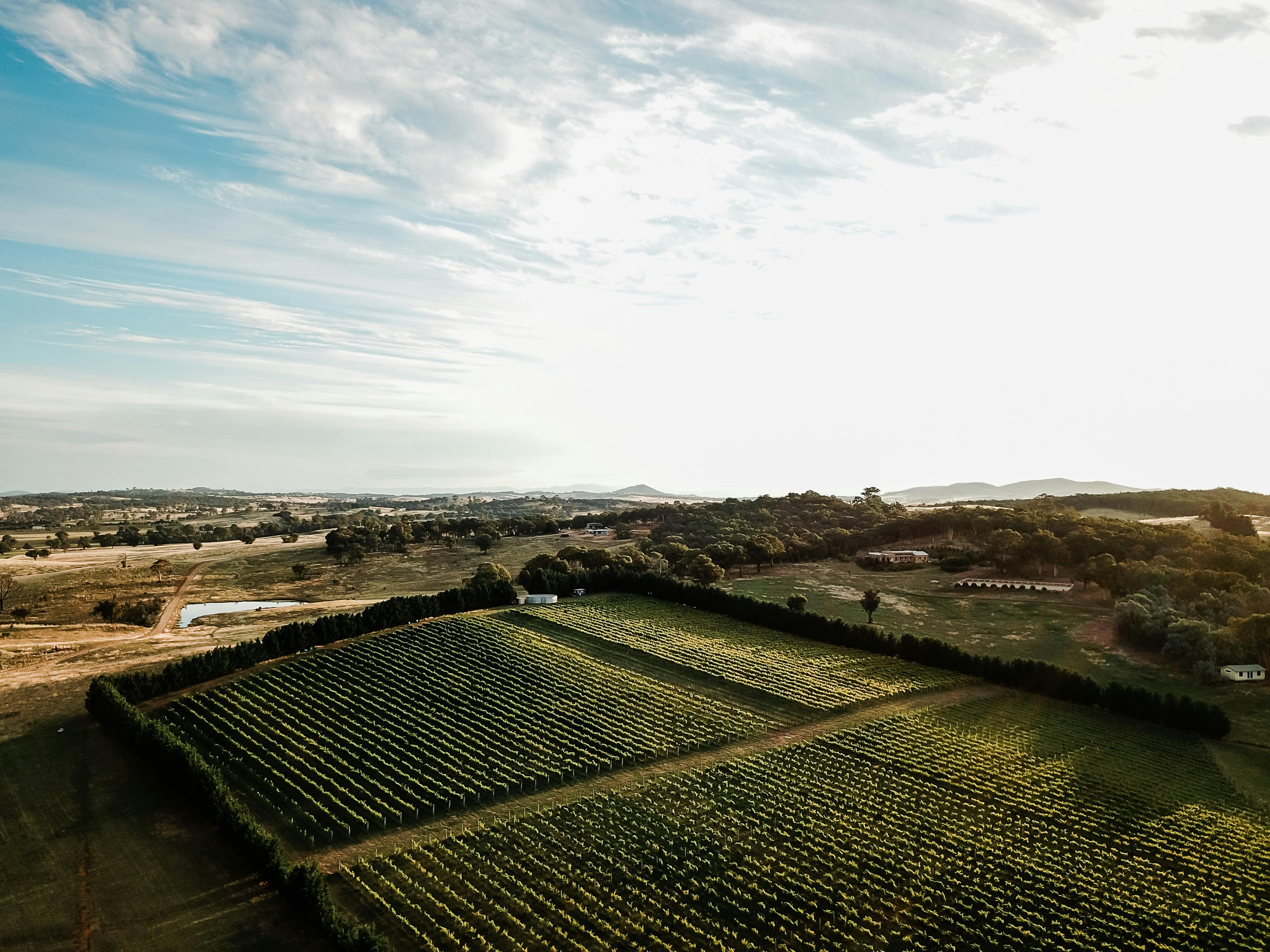 Tallagandra Hill Winery
