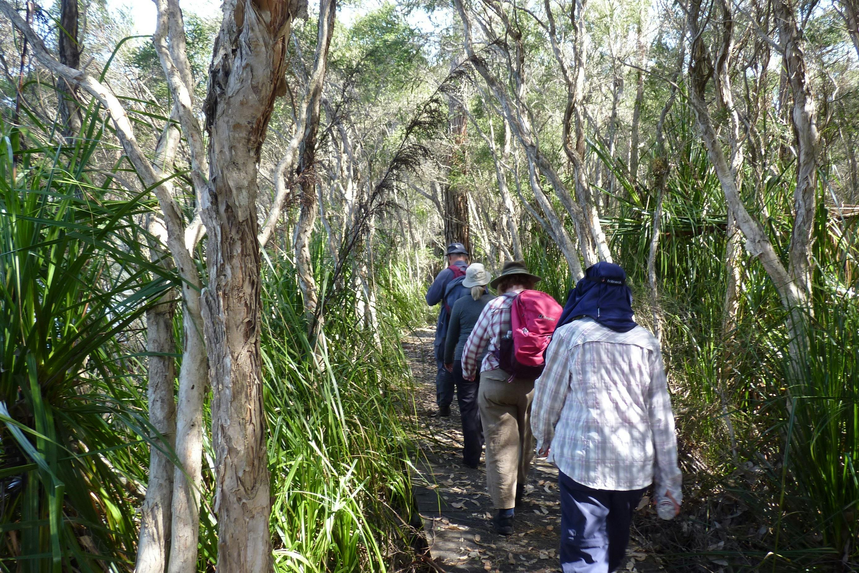 Gippsland High Country Tours