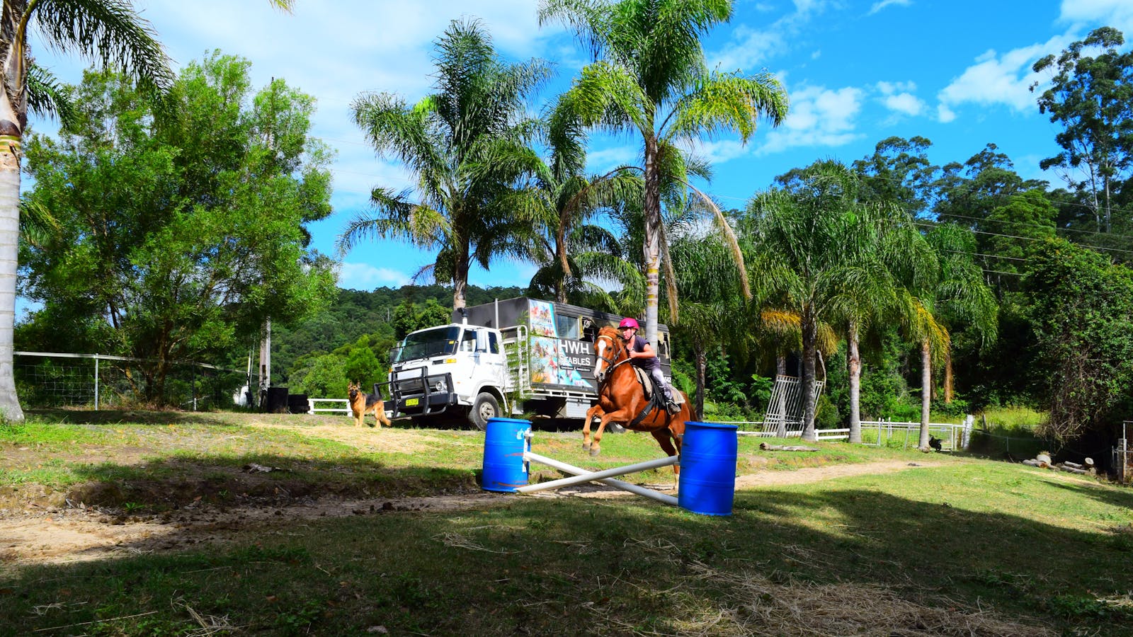 HWH Stables - Riding School and Trail Rides