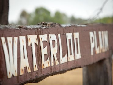 Signage