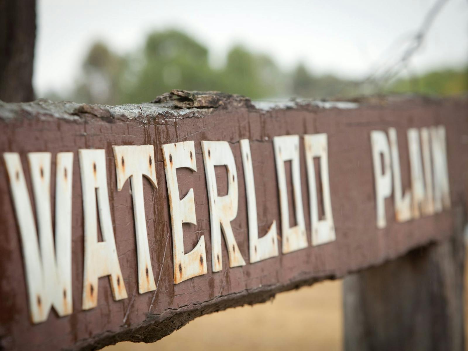 Signage Signage