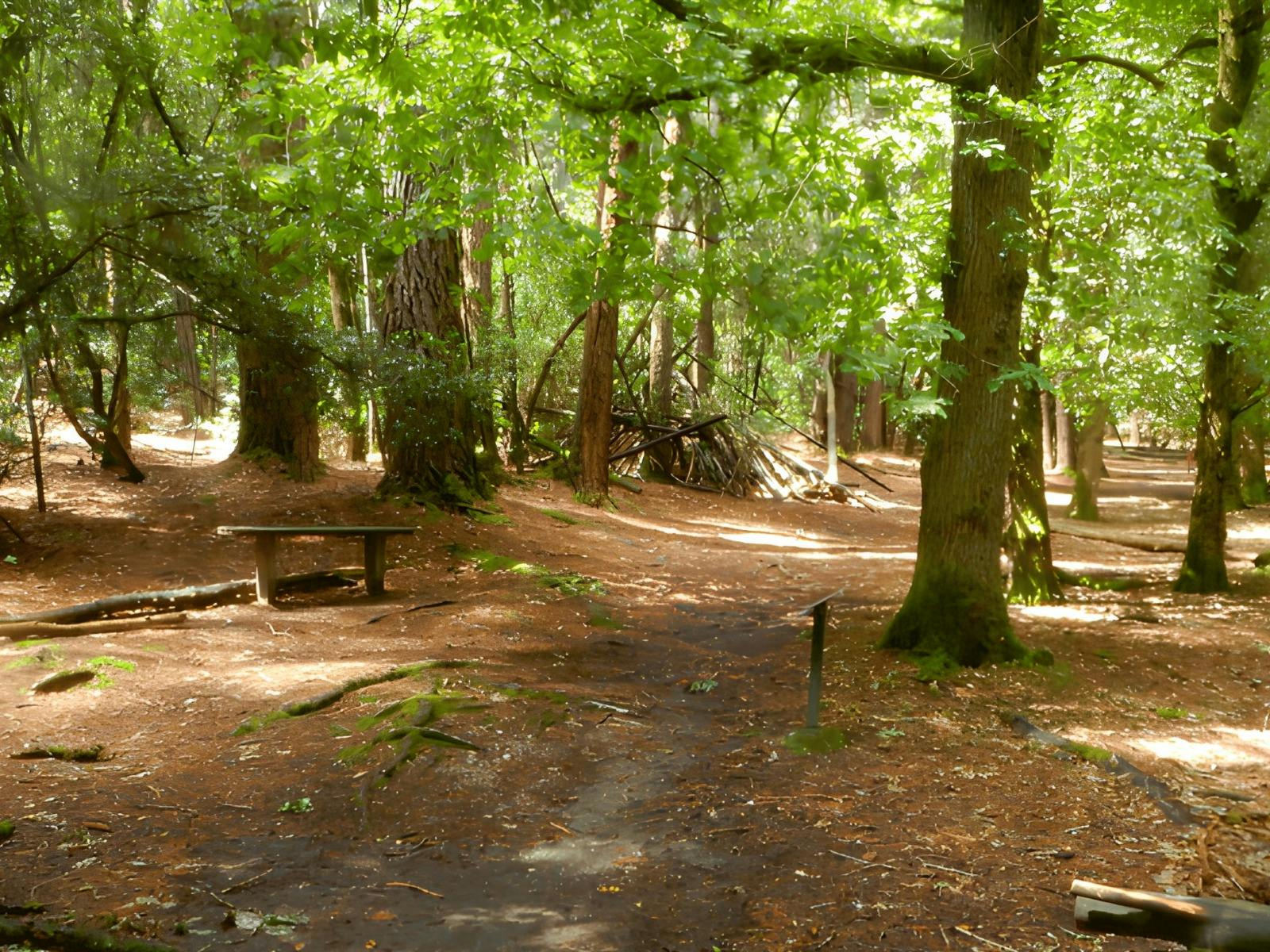 Goldfields Walking Track - Creswick Regional Park