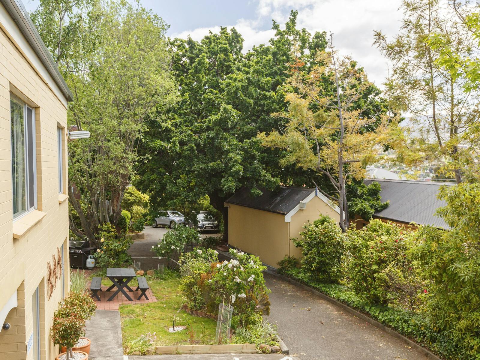 Garden view