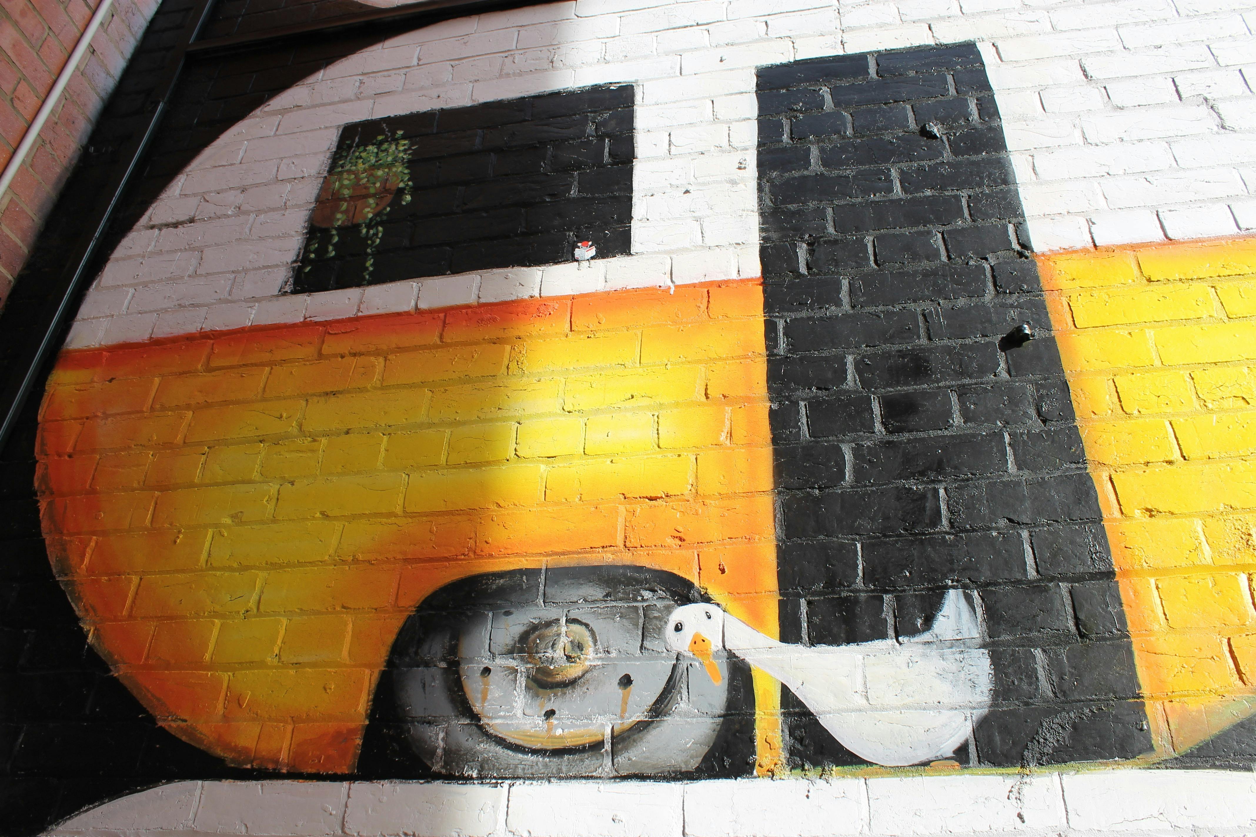 COVID19 Street Art - "Stay the Duck at Home" mural