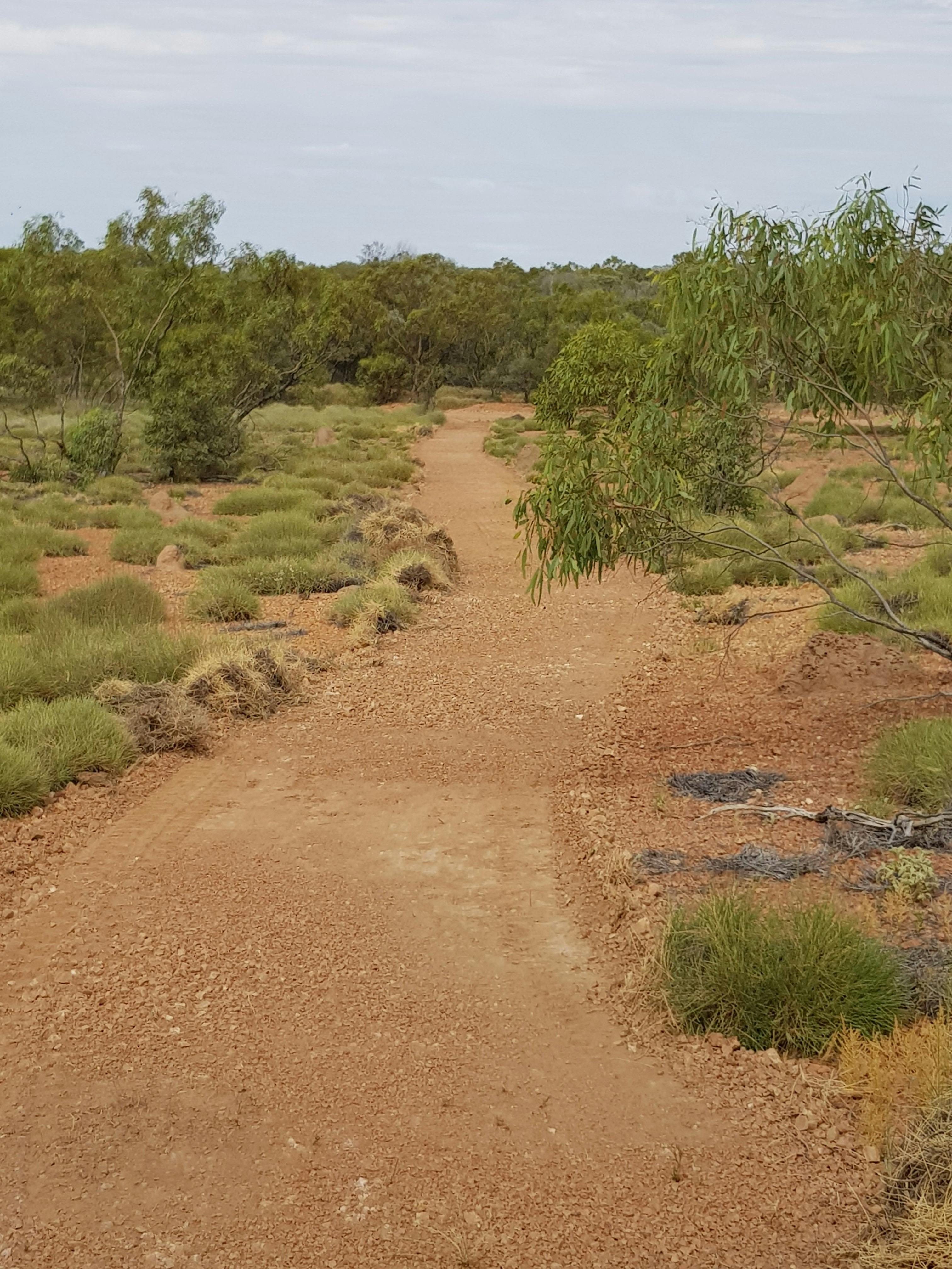 Opalton Historic Walking Tracks