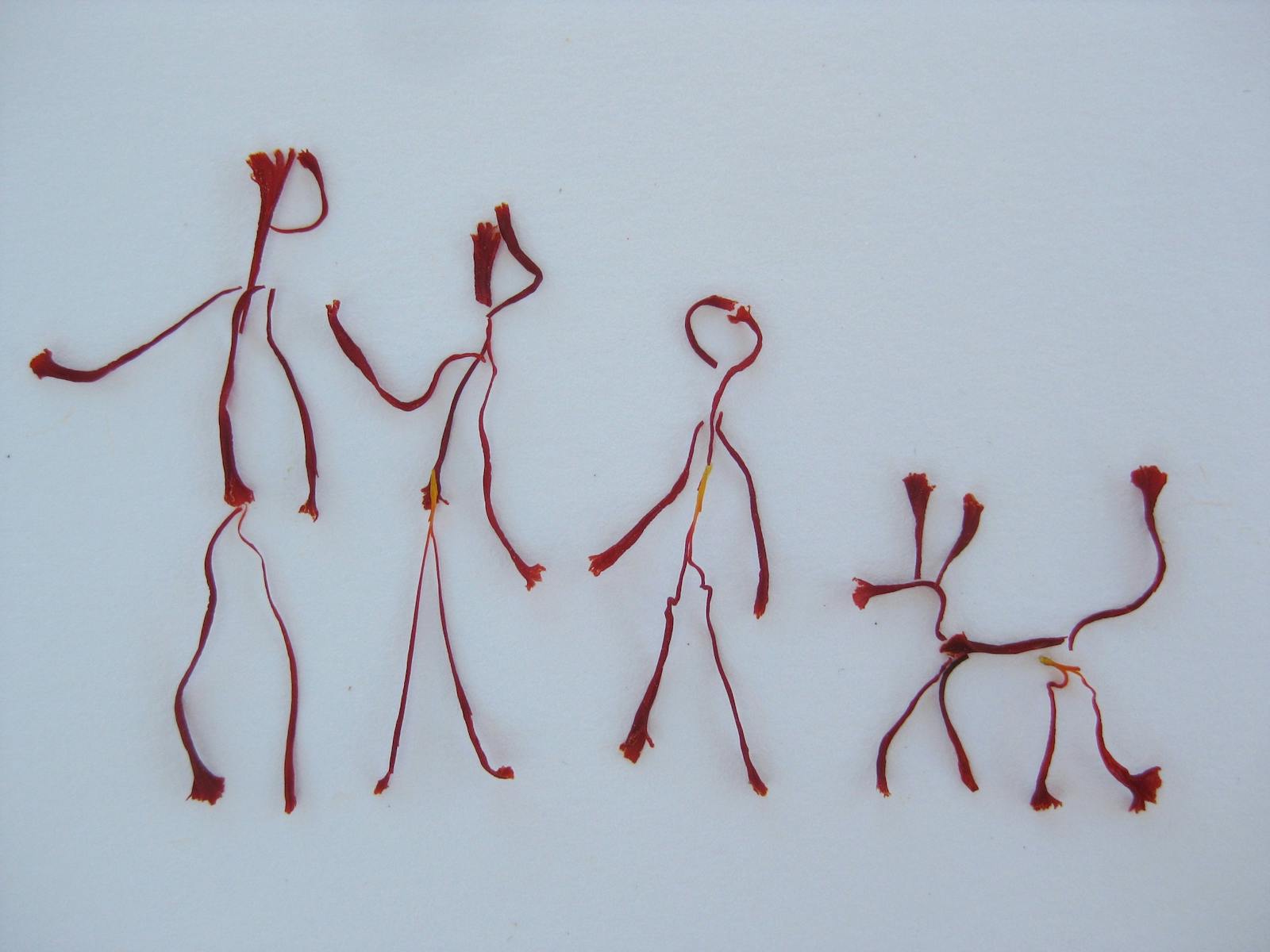 Caricature using saffron threads portraying our saffron family