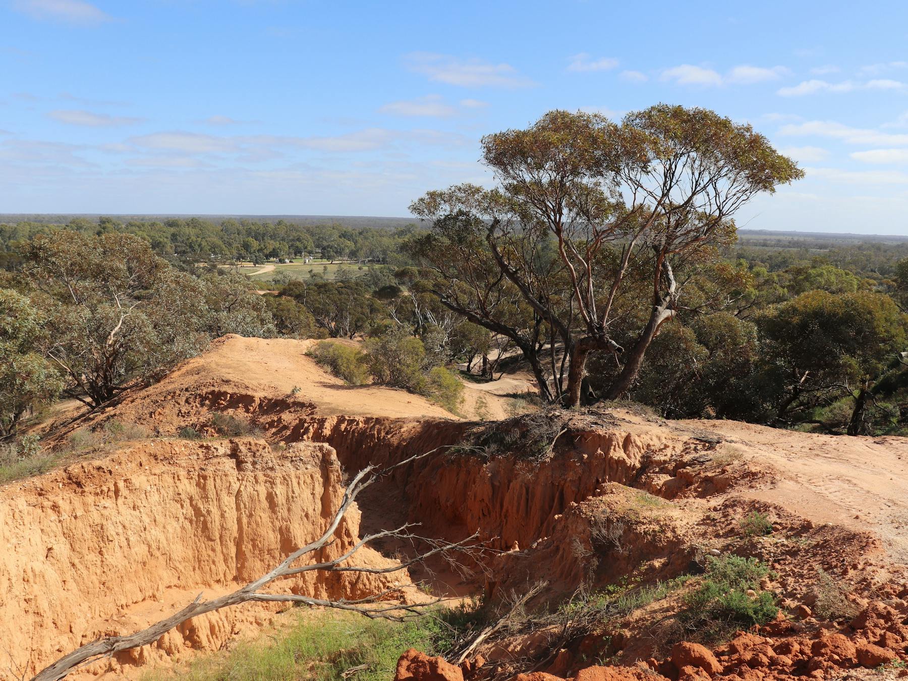 The track features thrilling drops and turns.