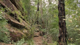 11 Kilometre Walking Track