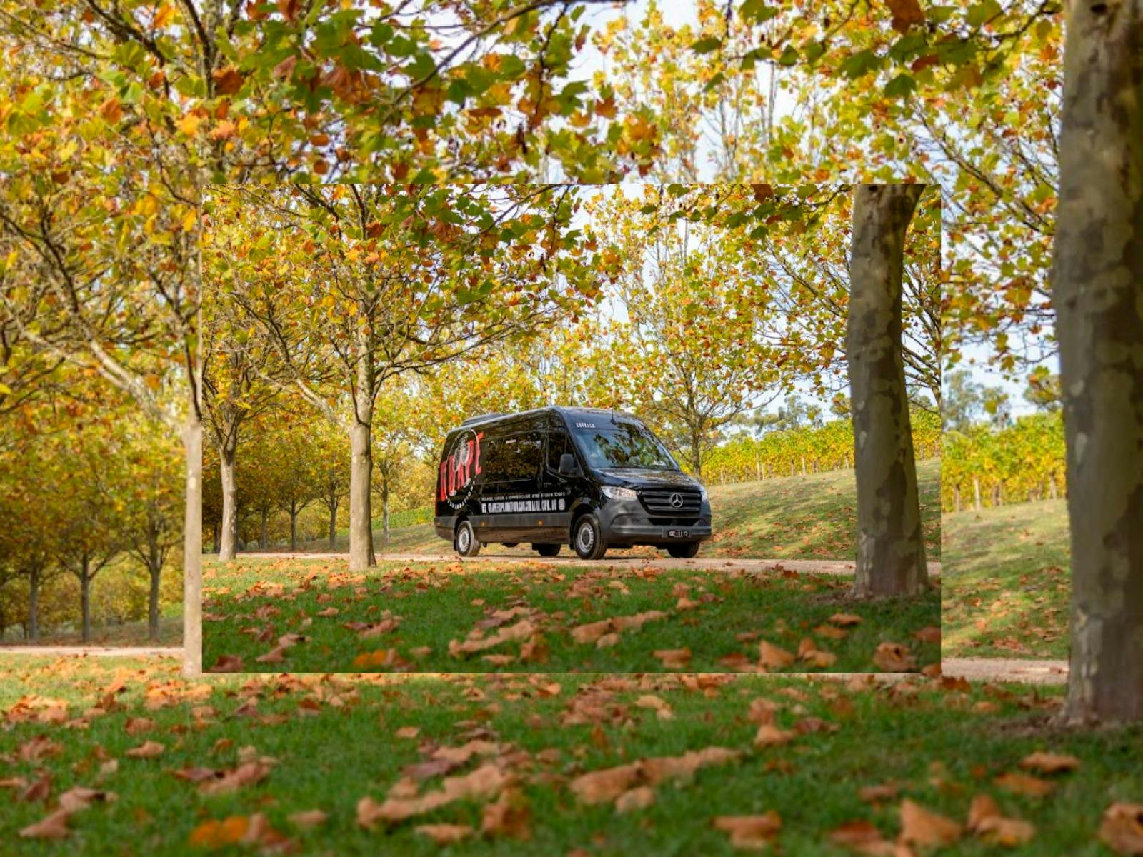 The Pick of the Bunch Yarra Valley