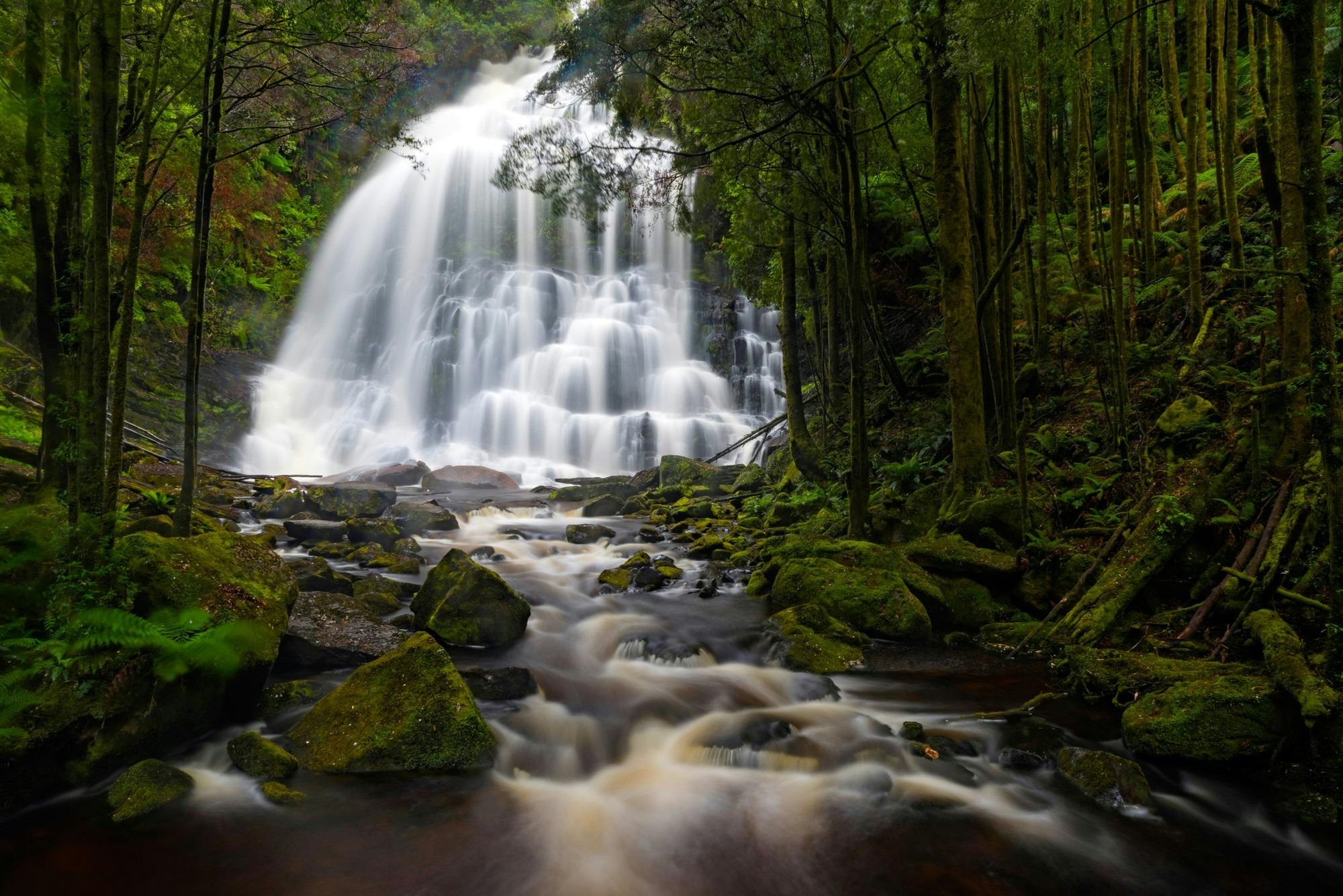 Franklin-Gordon Wild Rivers National Park