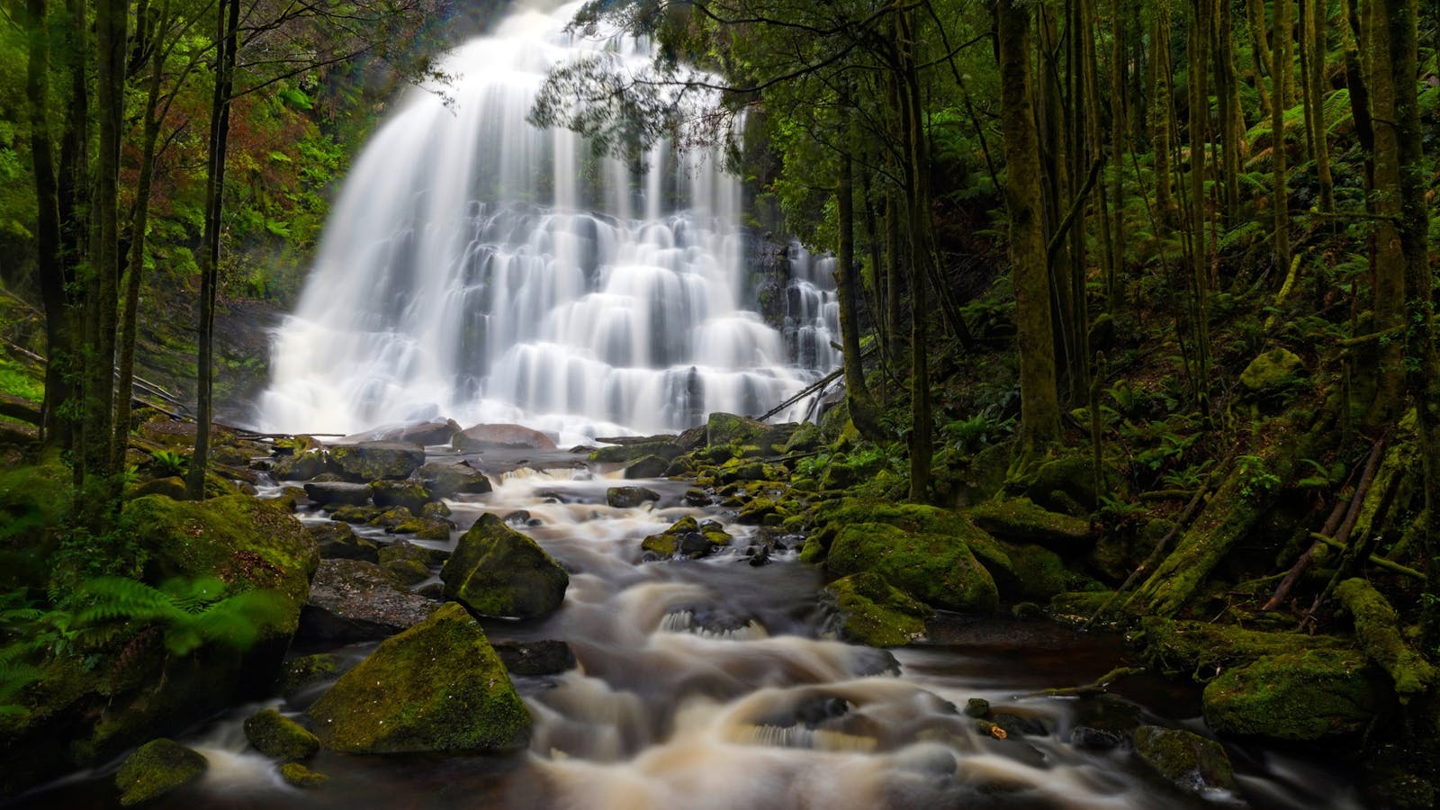 Franklin-Gordon Wild Rivers National Park