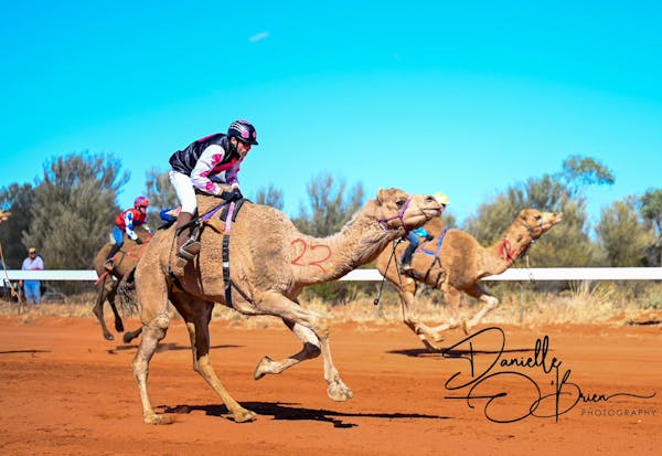 Jundah Camel Races