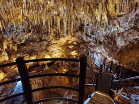 Naracoorte Caves
