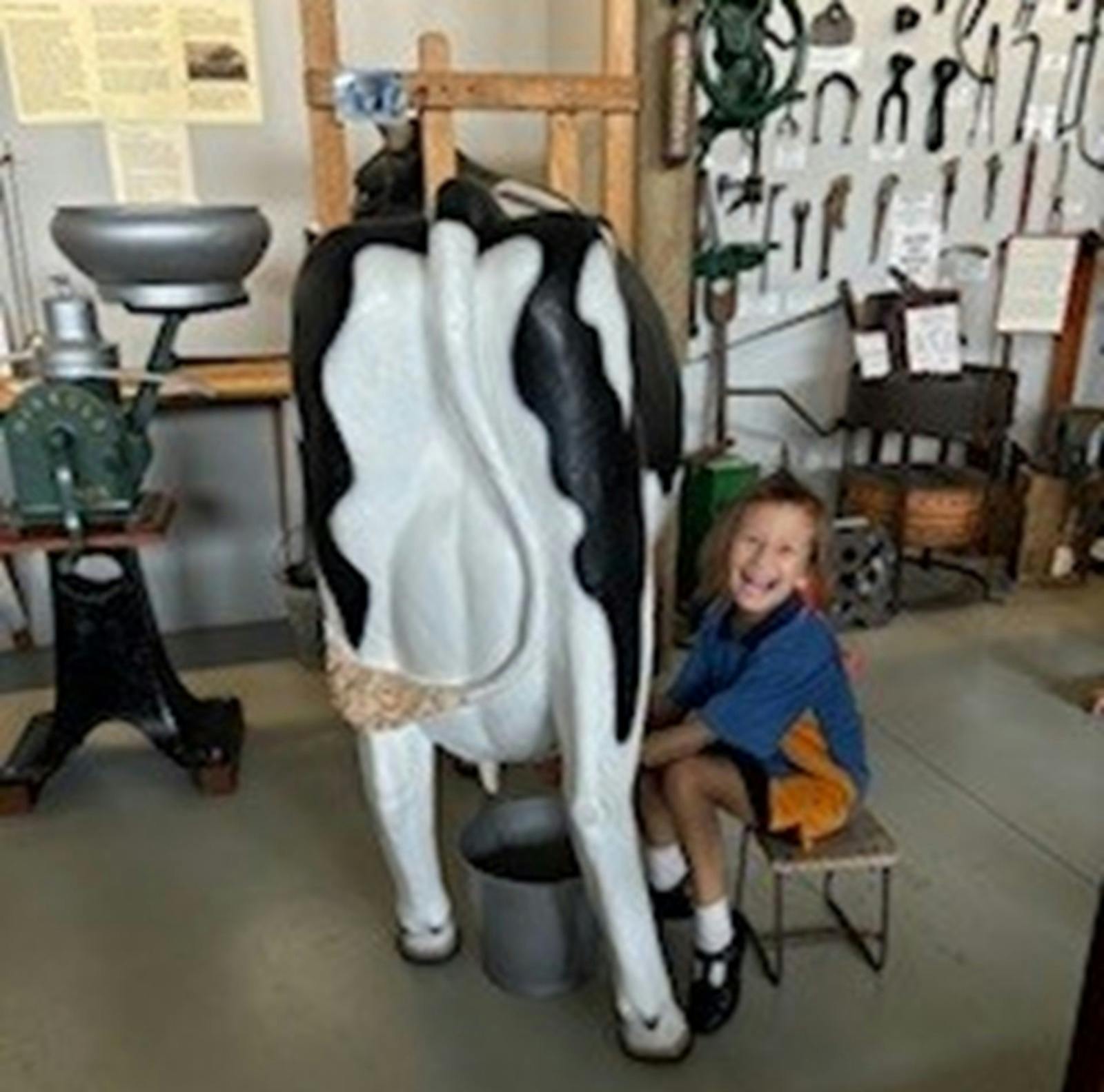 Child milking model cow.
