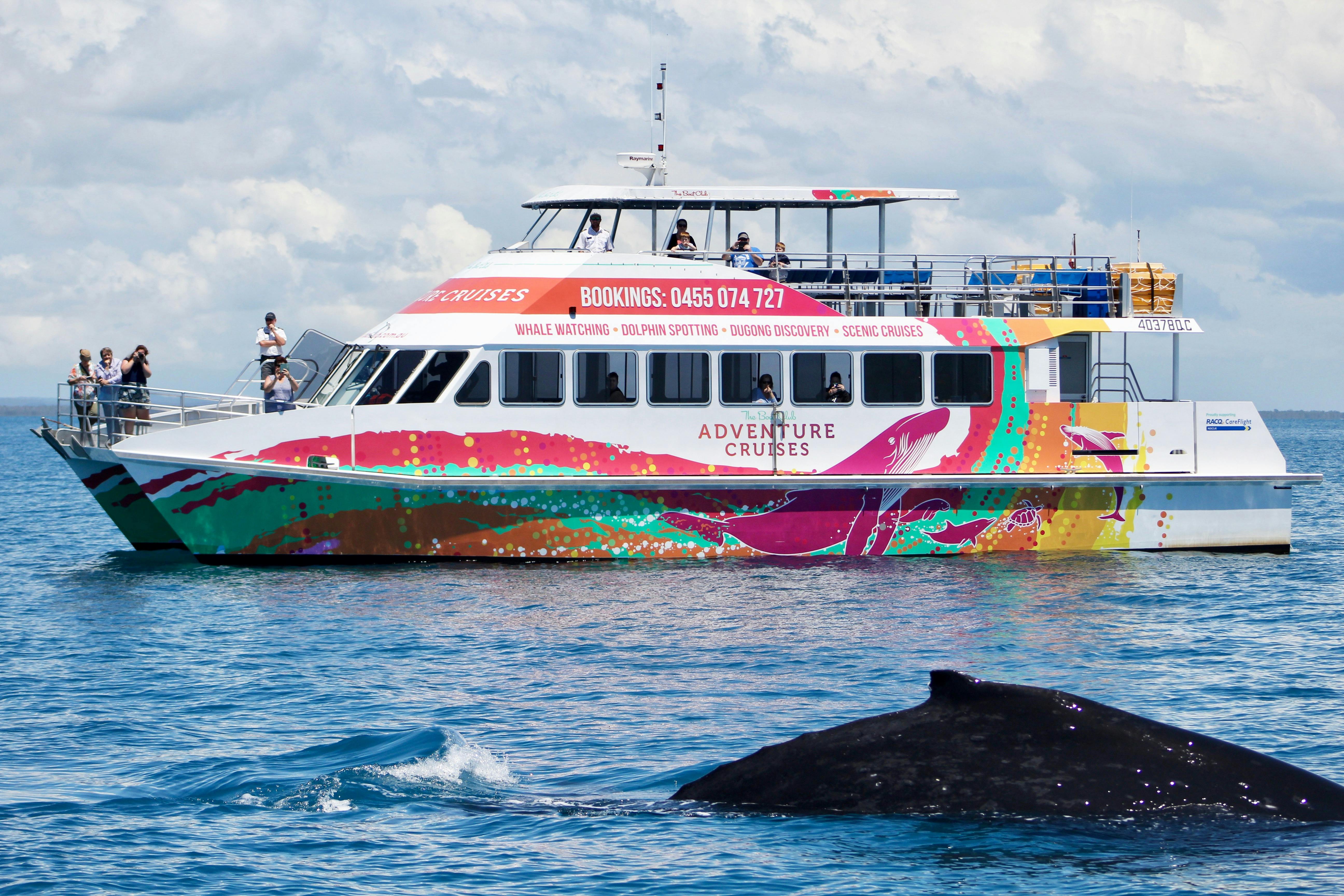 Hervey Bay Whale Watch