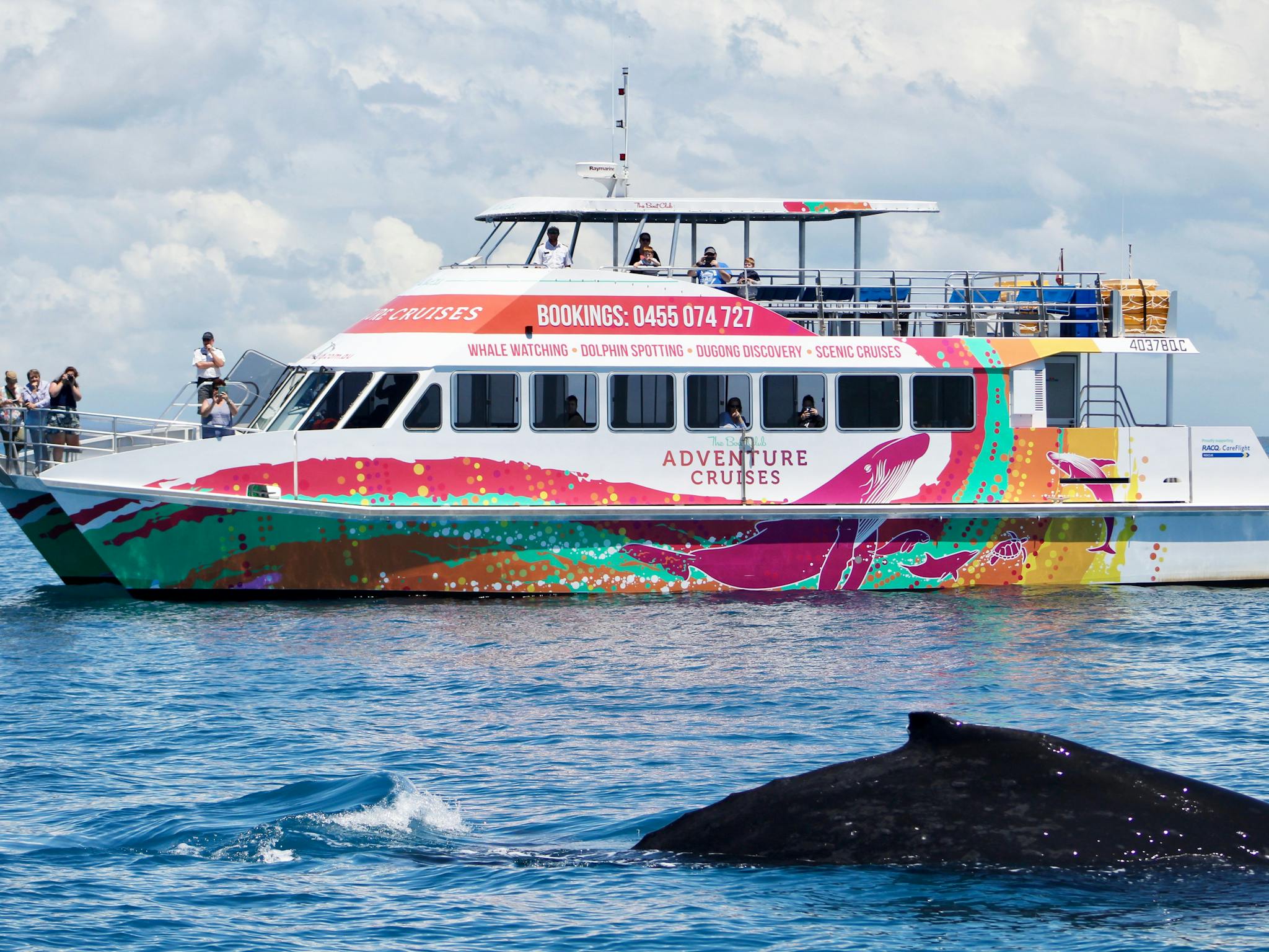 Whales love AMAROO our colourful boat Whales love AMAROO our colourful boat