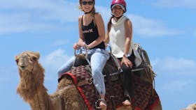 Port Macquarie Camel Safaris