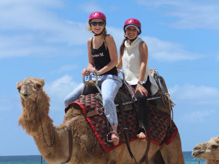 Port Macquarie Camel Safaris