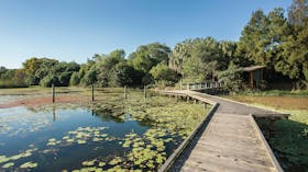 Lagoons Mackay Regional Botanic Gardens