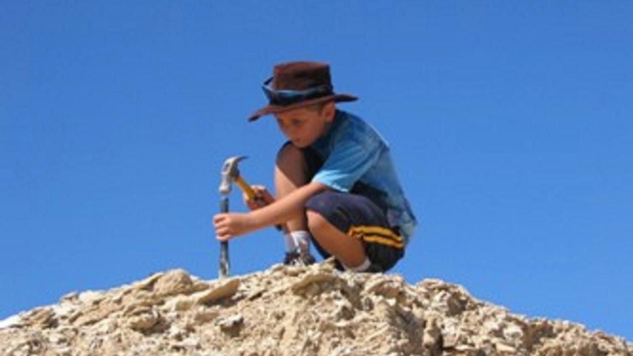 Richmond Fossil Hunting Sites