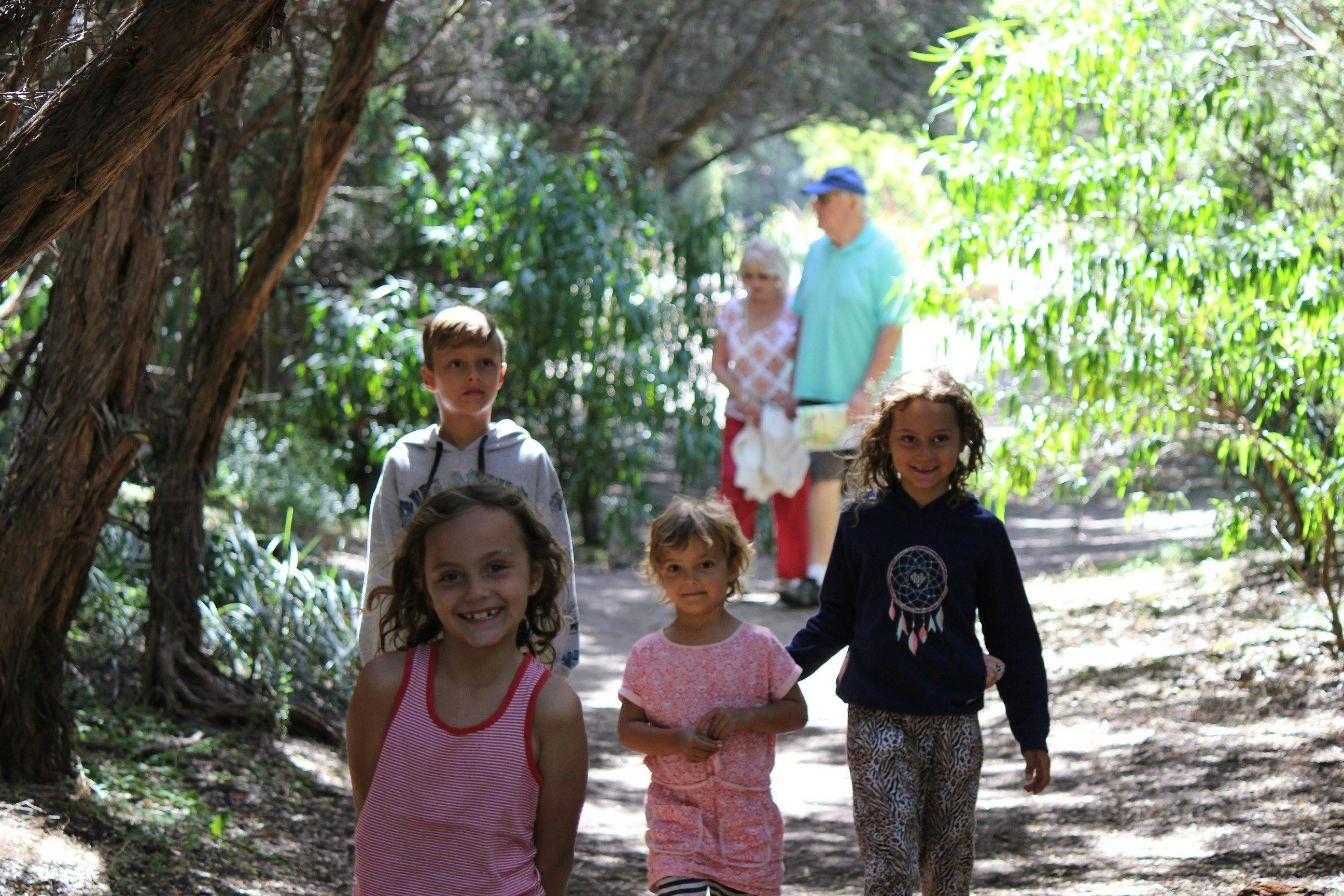 what to do with kids great ocean road
